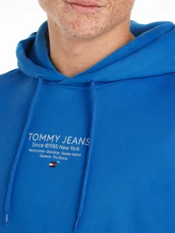 Tommy Jeans Pullover & Sweatshirts|Big Boys*TJM REG ESNTL GRAPHIC HOOD EXT meridian blue