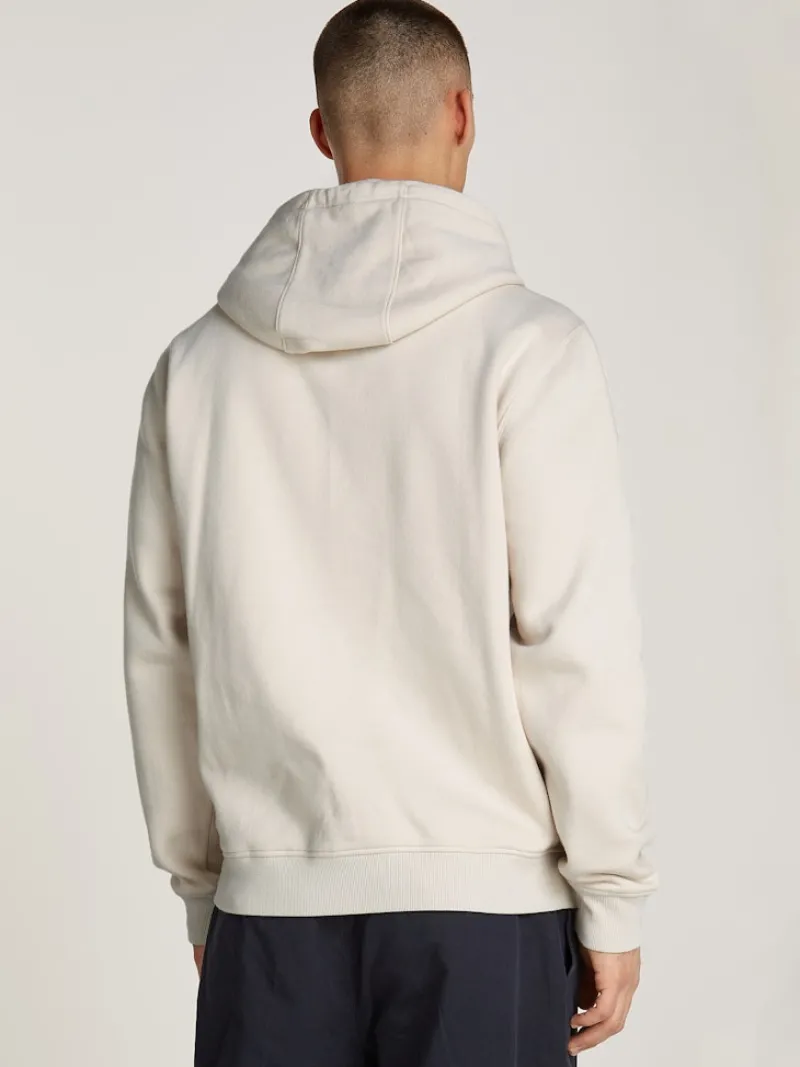 Tommy Jeans Pullover & Sweatshirts|Big Boys*TJM REG S FLAG HOODIE EXT newsprint