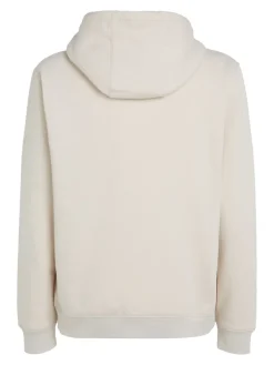 Tommy Jeans Pullover & Sweatshirts|Big Boys*TJM REG S FLAG HOODIE EXT newsprint