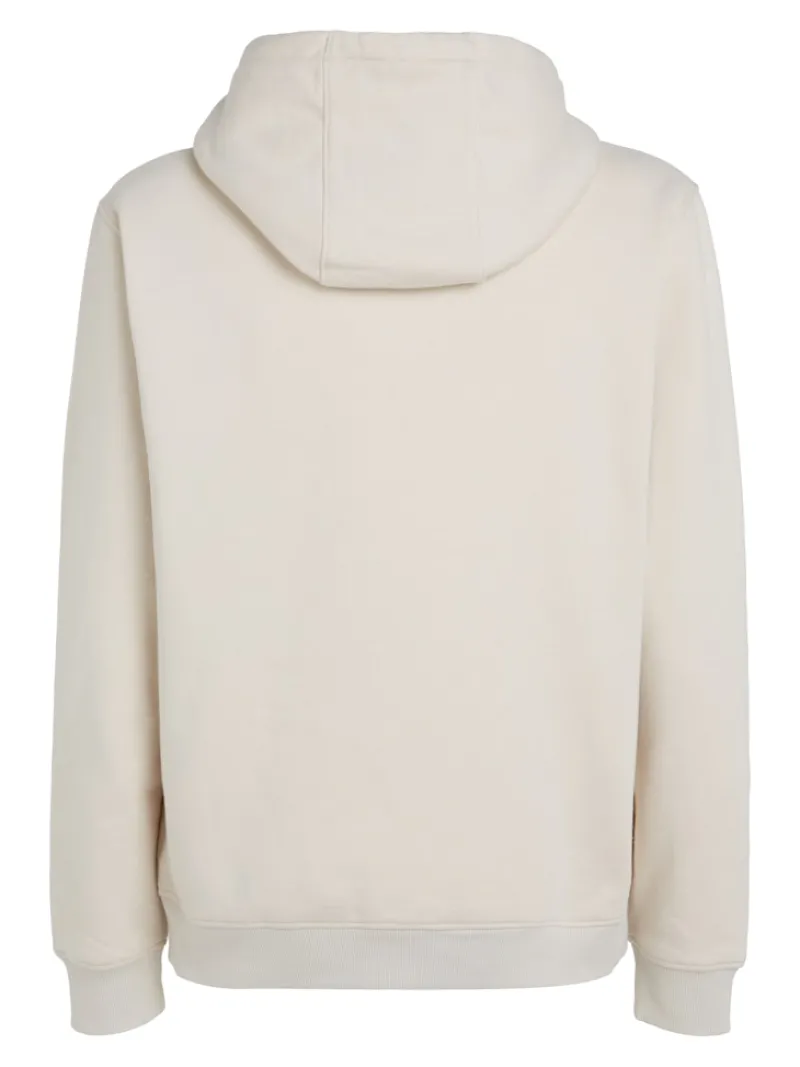 Tommy Jeans Pullover & Sweatshirts|Big Boys*TJM REG S FLAG HOODIE EXT newsprint