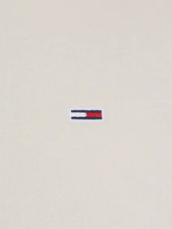 Tommy Jeans Pullover & Sweatshirts|Big Boys*TJM REG S FLAG HOODIE EXT newsprint