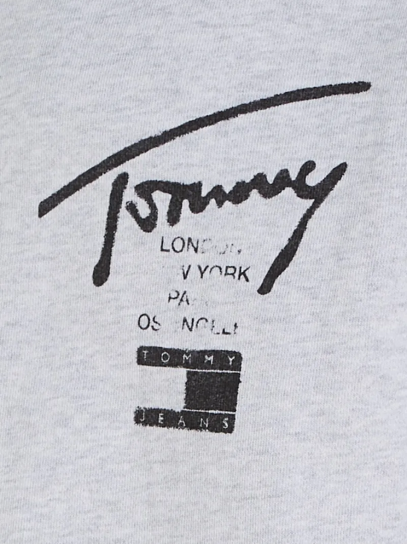 Tommy Jeans Pullover & Sweatshirts*TJM REG TOMMY SPRAY PAINT HOODIE silver grey