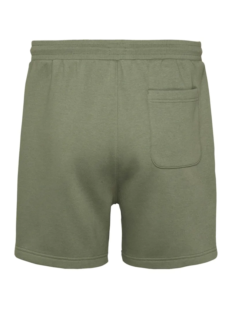 Tommy Jeans Shorts|Big Boys*TJM S FLAG BEACH SHORT EXT aruba green