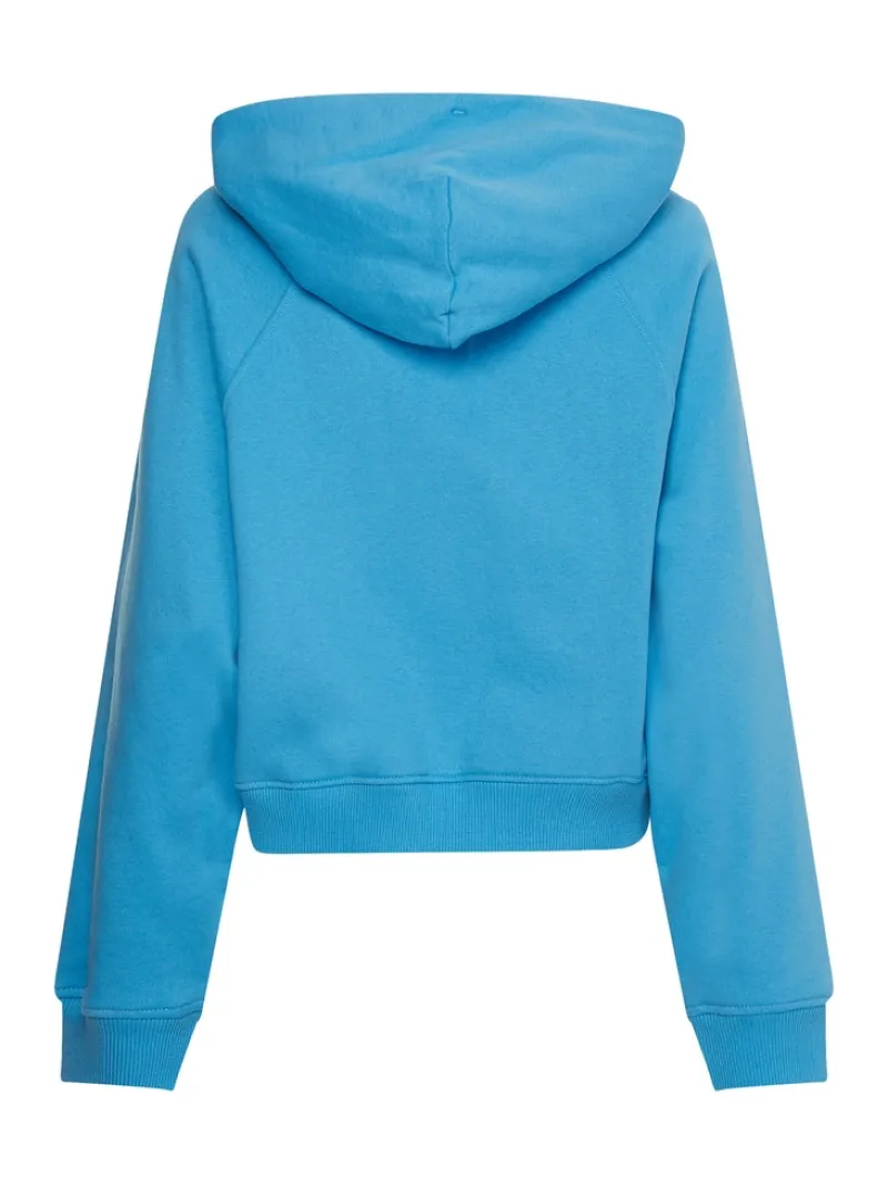 Tommy Jeans Pullover & Sweatshirts*TJW BXY SIGNATURE ZIP HOODIE blue crush