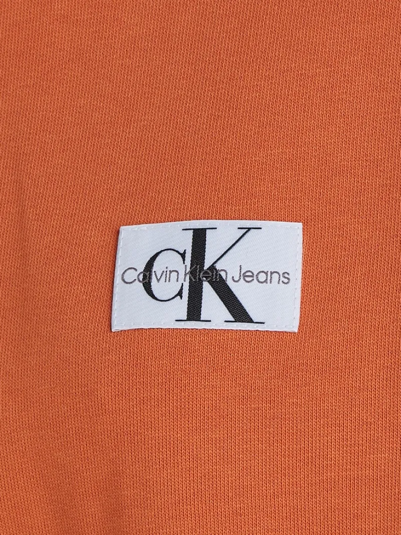 Calvin Klein Jeans Pullover & Sweatshirts*WOVEN LABEL HOODIE burnt clay